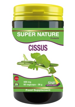 Cissus 500 mg Pure