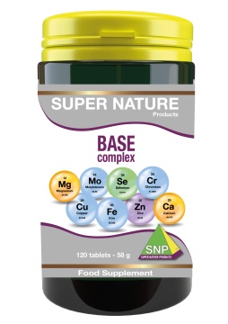 BASE-complex