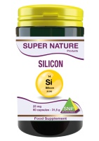 Silicon